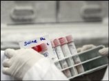 В Колумбии зарегистрирован первый случай свиного гриппа со смертельным исходом