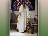 Собака помогает священнику исполнять пастырский долг
