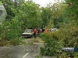 Штормовой ветер повалил десятки деревьев в Москве, а ливень парализовал движение транспорта Штормовой ветер повалил десятки деревьев в Москве, а ливень парализовал движение транспорта