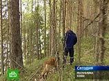 В Коми девятый день ищут двух школьников, потерявшихся в тайге В Коми девятый день ищут двух школьников, потерявшихся в тайге