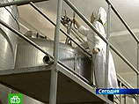 Белорусские эксперты приедут в Москву обсуждать молочную проблему Белорусские эксперты приедут в Москву обсуждать молочную проблему