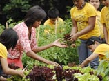 Первая леди США Мишель Обама собрала урожай с огорода перед Белым домом. Ей удалось вырастить почти 50 кг овощей. С грядок собраны салат, фасоль, зеленый горошек и кабачки