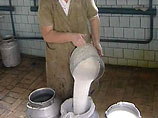 "В период "большого молока" появляется уверенность в том, что молоко, произведенное российскими сельхозтоваропроизводителями, будет переработано и востребовано на рынке по более справедливым ценам", - считают в Минсельхозе