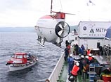Вместо золота Колчака "Миры" нашли в Байкале необычных безусых ракообразных Вместо золота Колчака "Миры" нашли в Байкале необычных безусых ракообразных