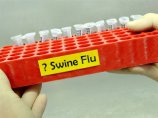 В Новой Зеландии за неделю заразились свиным гриппом 258 человек
