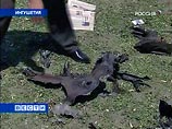 Медведев обвинил в покушении на президента Ингушетии боевиков и призвал дать им "жесткий ответ" Медведев обвинил в покушении на президента Ингушетии боевиков и призвал дать им "жесткий ответ"