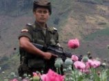 Семеро колумбийских полицейских погибли в бою с боевиками из РВСК