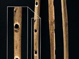 Это флейта, вырезанная из кости хищной птицы около 35 тыс. лет назад
