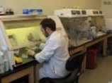 В США порядка 1 млн человек больны гриппом A/H1N1, полагают медики В США порядка 1 млн человек больны гриппом A/H1N1, полагают медики
