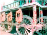 В священном индийском городе Пури началось ежегодное Шествие Колесниц