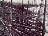 Колоссальный взрыв, в 1908 году поваливший целый лес в Сибири на площади 800 квадратных миль, почти наверняка был вызван столкновением Земли с кометой, пишет издание, ссылаясь на выводы американских специалистов-ракетчиков Колоссальный взрыв, в 1908 году поваливший целый лес в Сибири на площади 800 квадратных миль, почти наверняка был вызван столкновением Земли с кометой, пишет издание, ссылаясь на выводы американских специалистов-ракетчиков