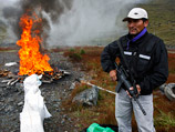 В Боливии обнаружена самая крупная в истории  наркофабрика, производившая 35 т кокаина в год