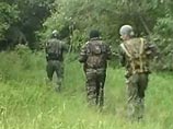 В Ингушетии блокировали группу боевиков: двое убито