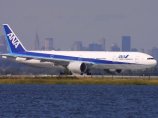 Взлетно-посадочную полосу аэропорта JFK в Нью-Йорке "перекрыли" 78 черепах Взлетно-посадочную полосу аэропорта JFK в Нью-Йорке "перекрыли" 78 черепах