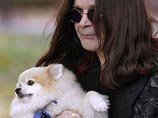 Дикий койот съел любимую собаку солиста группы Black Sabbath Оззи Осборна, пока хозяин вместе со своей супругой Шэрон смотрели по телевизору церемонию прощания с Майклом Джексоном