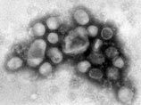 Советник британского премьера заразился гриппом А/Н1N1