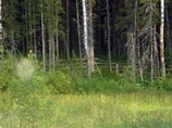 В Коми, возможно, найдено место захоронения родственников экс-тренера "Челси" В Коми, возможно, найдено место захоронения родственников экс-тренера "Челси"