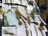 В результате засухи произошла гибель посевов яровых культур на площади 1 млн 121 тыс. га (70% от общей площади посевов) В результате засухи произошла гибель посевов яровых культур на площади 1 млн 121 тыс. га (70% от общей площади посевов)