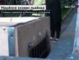 Сотрудник Россельхознадзора оставил во дворе дома клетку с львенком. Жильцы вызвали милицию Сотрудник Россельхознадзора оставил во дворе дома клетку с львенком. Жильцы вызвали милицию