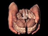 Британские ученые нашли "отличительную" патологию в мозгах психопатов