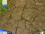 Засуха лишила часть хозяйств выручки, необходимой им для погашения кредитов, оплаты ГСМ и сельхозтехники