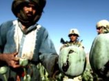 США внесли имена 50 афганских наркобаронов в список террористов, которых следует уничтожить
