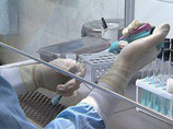 Запуск вакцин от гриппа A/H1N1 в массовое производство намечен на октябрь-ноябрь