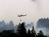 В Калифорнии из-за лесных пожаров объявлено чрезвычайное положение