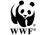 Эксперты Всемирного фонда дикой природы (World Wide Fund for Nature, WWF) пришли к выводу, что панды могут вымереть уже через два-три поколения. По мнению ученых, вымирание неофициальному символу Китая и символу Всемирного WWF грозит из-за вырубки лесов