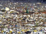 Горы пластикового мусора, дрейфующие в Мировом океане, грозят гормональными сбоями человеку