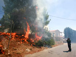В настоящее время в тушении лесных пожаров в Греции задействованы 16 пожарных самолетов и вертолеты
