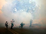 Греческие пожарные спасли Афины от огня и занялись лесными пожарами
