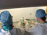 Во Владимире с подозрением на свиной грипп госпитализированы 23 ребенка, вернувшихся из Болгарии