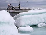 Пограничники РФ не дали норвежцам впервые покорить Северный полюс на яхте: их  конвоируют в чукотский порт