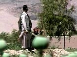 Площадь посевов опийного мака в Афганистане за текущий год сократилась на 22%, а производство опиума упало на 10%, сообщает в среду британская телерадикорпорация BBC со ссылкой на доклад управления по борьбе с наркотиками ООН