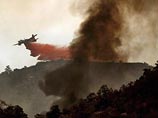 Американские власти заявили, что причиной лесных пожаров в Калифорнии, уже ставших крупнейшими в округе Лос-Анджелес, стал поджог