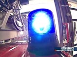 В Московском зоопарке загорелся птичий вольер В Московском зоопарке загорелся птичий вольер