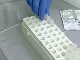 Как показали работы специалистов из Смафитского института генетики Тринити-коллидж Дублина, в процессе мутации гены могут создаваться из первичного материала "с нулевой отметки" Как показали работы специалистов из Смафитского института генетики Тринити-коллидж Дублина, в процессе мутации гены могут создаваться из первичного материала "с нулевой отметки"