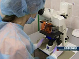 Роспотребнадзор: в России подтвержден 381 случай свиного гриппа