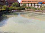 Не менее полутора тонн рыбы погибло в пруду при одном из монастырей в городе Эйслебен на юге Германии из-за действий местных аграриев, которые накануне вылили миллионы литров молока в водоемы по всей стране