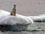 Архангельский губернатор: глобальное потепление может лишить Россию Северного морского пути