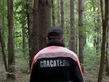 В Карелии с начала июня в лесах потерялись 79 человек, девять из которых до сих пор числятся пропавшими без вести