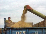 России некуда девать зерно: новый урожай превзошел ожидания, а прошлогоднее еще не закончилось России некуда девать зерно: новый урожай превзошел ожидания, а прошлогоднее еще не закончилось