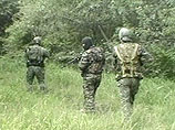 Кадыров сообщил о ликвидации в Чечне восьми боевиков