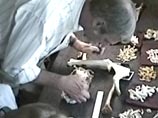 Ученые обнаружили и подробно описали новый вид прямоходящих существ, живших в Африке 4,4 млн лет назад Ученые обнаружили и подробно описали новый вид прямоходящих существ, живших в Африке 4,4 млн лет назад