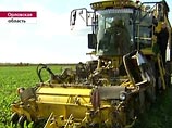 Медведев лично поучаствовал в уборке сахарной свеклы за рулем комбайна Медведев лично поучаствовал в уборке сахарной свеклы за рулем комбайна