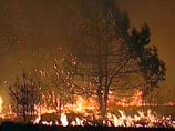 Также в РФ действуют 8 очагов природных пожаров, из них в течение суток возникло 6 очагов, потушено 8 очагов на общей площади 22,4 га. Площадь, пройденная природными пожарами за сутки, составила 1 га, из них 0,8 га - лесная