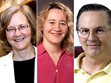 Напомним, Нобелевскую премию в области медицины и физиологии в этом году получили ученые из США: Элизабет Блекберн, Кэрол Грейдер и Джек Шостак