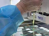 Академик Львов: в России десятки тысяч случаев свиного гриппа, официальные числа занижены
Академик Львов: в России десятки тысяч случаев свиного гриппа, официальные числа занижены