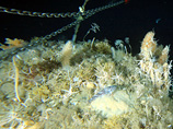 Ученые Национального центра Океанографии в британском Саутгемптоне приступают к изучению наиболее отдаленных гидротермальных жерл в рамках международной трехлетней кампании по исследованию горных хребтов океана